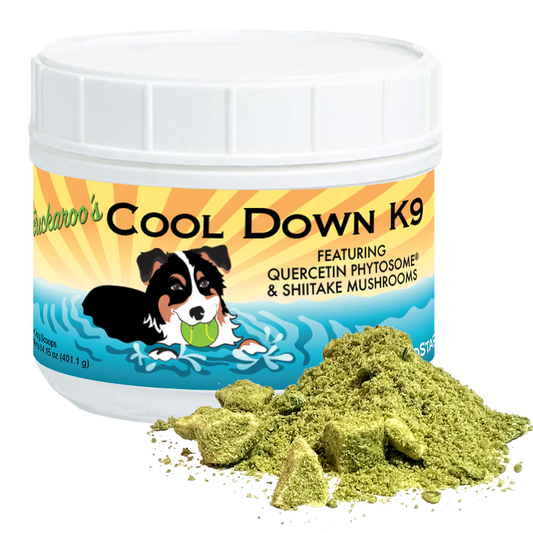 BioStar Buckaroo's Cool Down K9 herbal cooling supplement for dogs