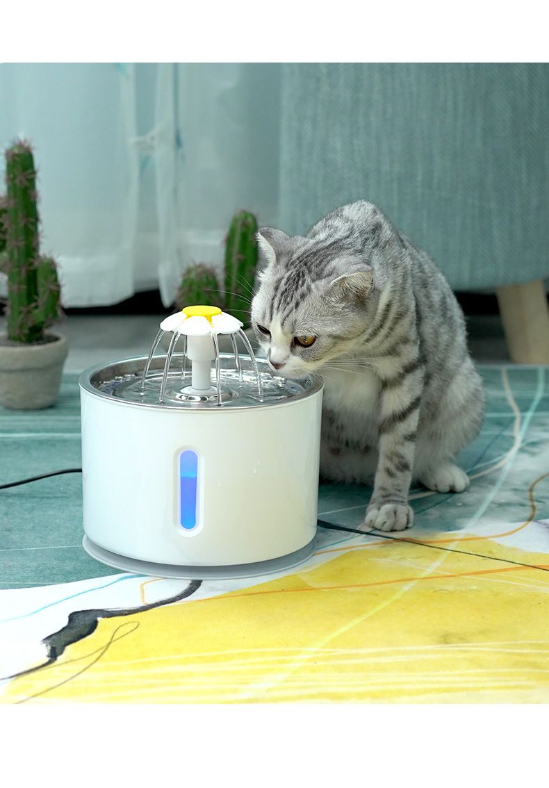Automatic LED Pet Water Fountain; 2.4L Dispenser for Dogs & Cats - Apollo's Corner