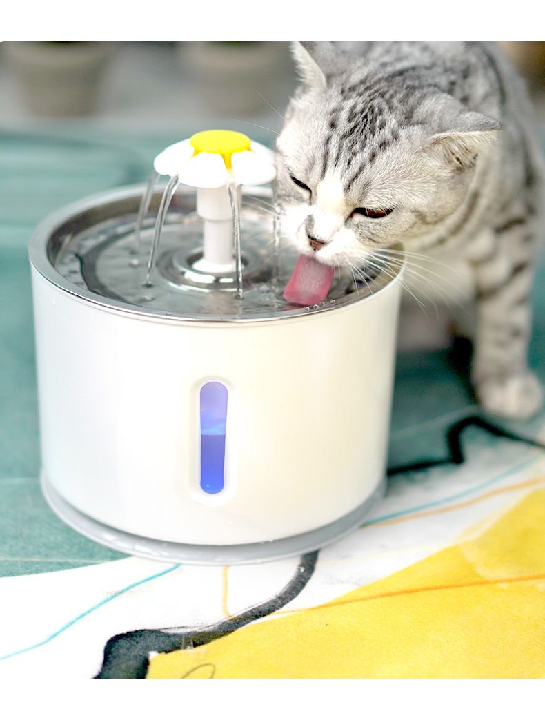 Automatic LED Pet Water Fountain; 2.4L Dispenser for Dogs & Cats - Apollo's Corner