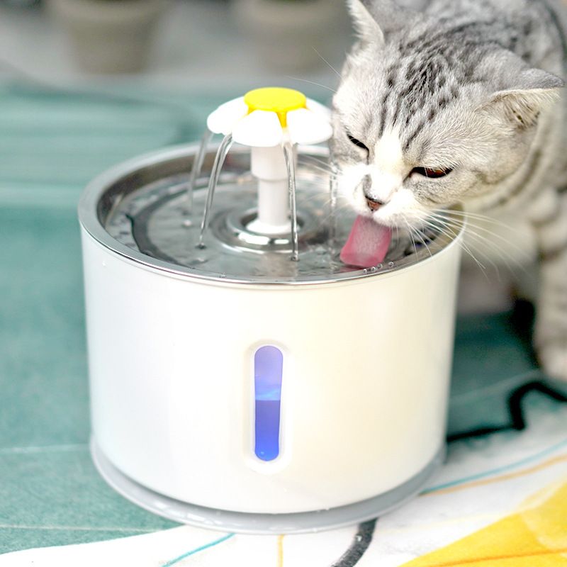 Automatic LED Pet Water Fountain; 2.4L Dispenser for Dogs & Cats - Apollo's Corner