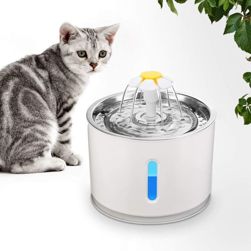 Automatic LED Pet Water Fountain; 2.4L Dispenser for Dogs & Cats - Apollo's Corner