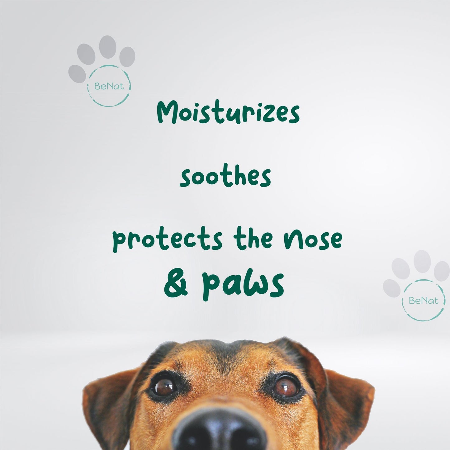BeNat Pets. 3 - Pack Pet Grooming Bundle. Pet Soap Bar + Pet Balm + Bath Towel - Apollo's Corner