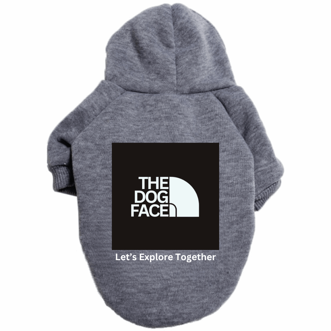 Big Box LET Hoodie - Apollo's Corner