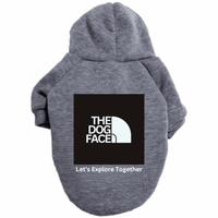 Big Box LET Hoodie - Apollo's Corner