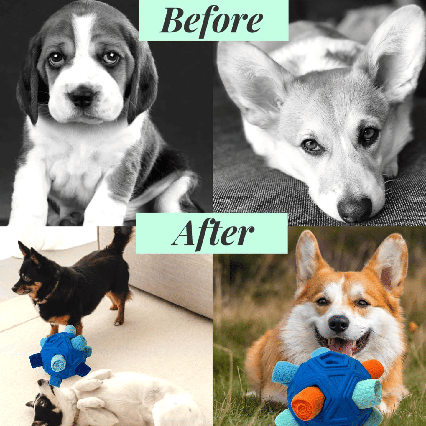 Blue Snuffle Puzzle Ball – Interactive Dog Treat Dispenser & Slow Feeder - Apollo's Corner