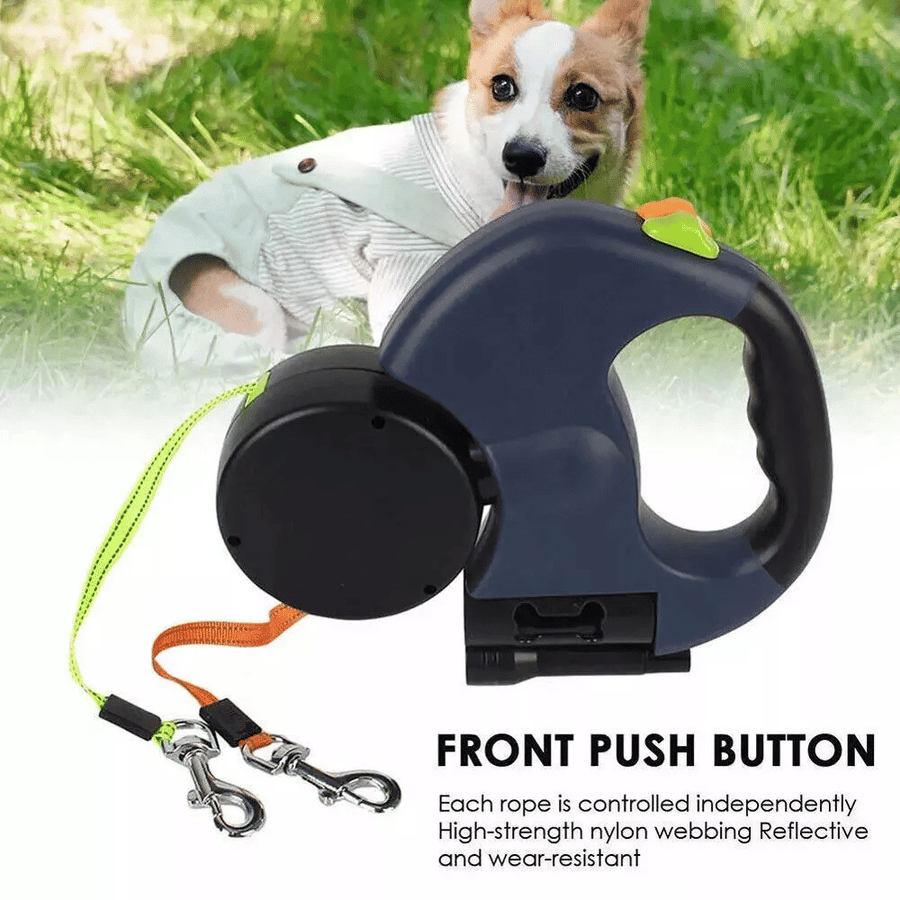 Double Paws Swivel Lead - Apollo's Corner