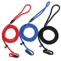 Durable Dog Slip Rope Leash With Strong Slip Lead; Adjustable Pet Slipknot Nylon Leash For Dogs - Apollo's Corner