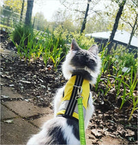 Kitty Holster Reflective Safety Harness (Made in USA) - Apollo's Corner