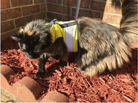 Kitty Holster Reflective Safety Harness (Made in USA) - Apollo's Corner