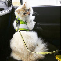 Kitty Holster Reflective Safety Harness (Made in USA) - Apollo's Corner
