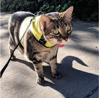 Kitty Holster Reflective Safety Harness (Made in USA) - Apollo's Corner