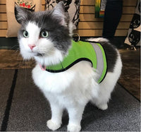 Kitty Holster Reflective Safety Harness (Made in USA) - Apollo's Corner
