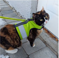 Kitty Holster Reflective Safety Harness (Made in USA) - Apollo's Corner