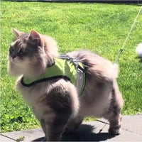 Kitty Holster Reflective Safety Harness (Made in USA) - Apollo's Corner