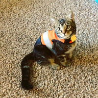 Kitty Holster Reflective Safety Harness (Made in USA) - Apollo's Corner