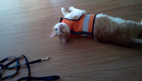 Kitty Holster Reflective Safety Harness (Made in USA) - Apollo's Corner