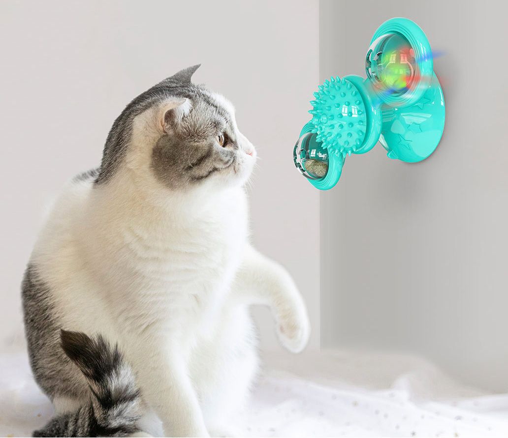 Meow Motion Spinner - Apollo's Corner