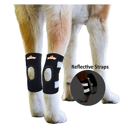 NeoAlly Rear Leg Hock Brace (Pair) — Reflective Support for Small Dogs