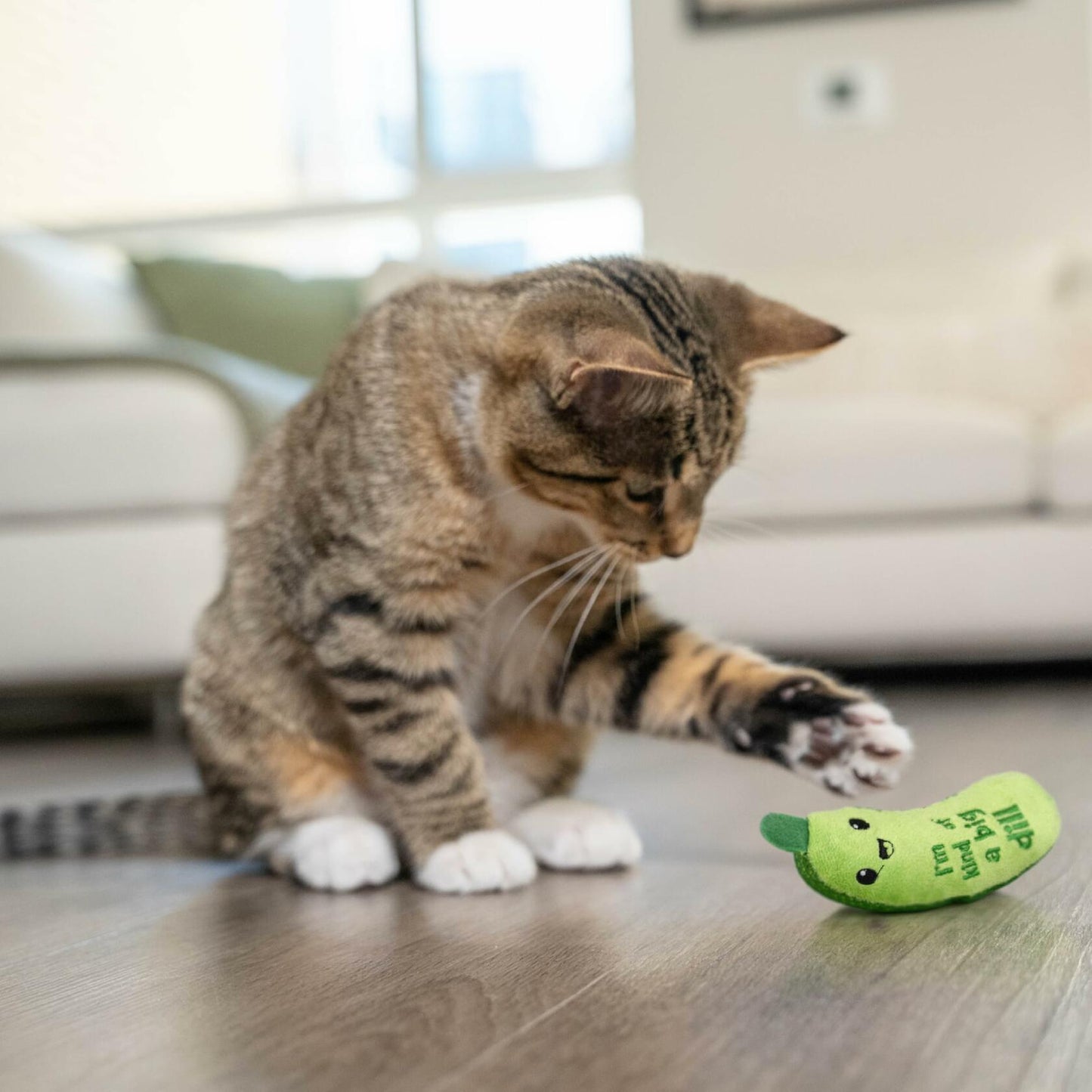 Catstages Crunchy Pickle Kicker Cat Toy with Catnip