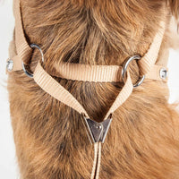 Pet Life Luxe 'Furracious' 2 - In - 1 Mesh Reversed Adjustable Dog Harness - Leash W/ Removable Fur Collar - Apollo's Corner