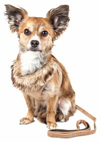 Pet Life Luxe 'Furracious' 2 - In - 1 Mesh Reversed Adjustable Dog Harness - Leash W/ Removable Fur Collar - Apollo's Corner