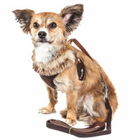 Pet Life Luxe 'Furracious' 2 - In - 1 Mesh Reversed Adjustable Dog Harness - Leash W/ Removable Fur Collar - Apollo's Corner
