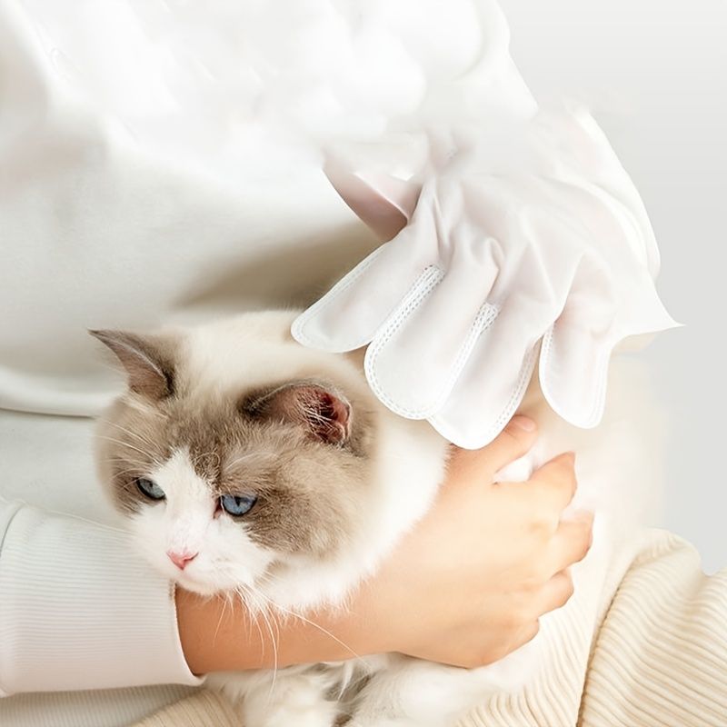 Pet Wash Free Gloves Remove Odor Cleaning And Dry Cleaning Pet Supplies - Apollo's Corner