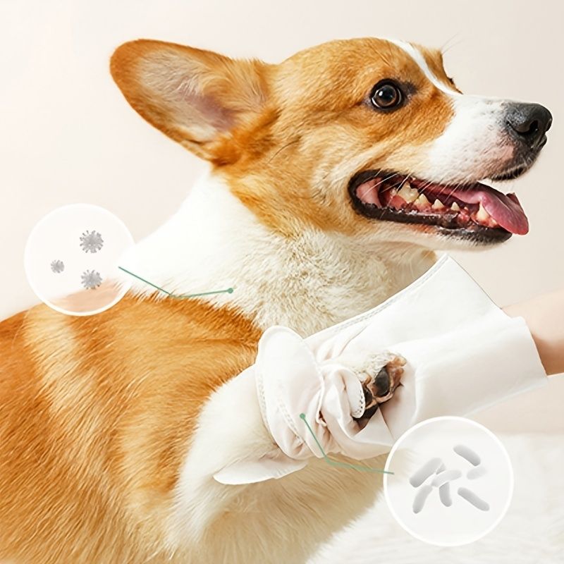 Pet Wash Free Gloves Remove Odor Cleaning And Dry Cleaning Pet Supplies - Apollo's Corner