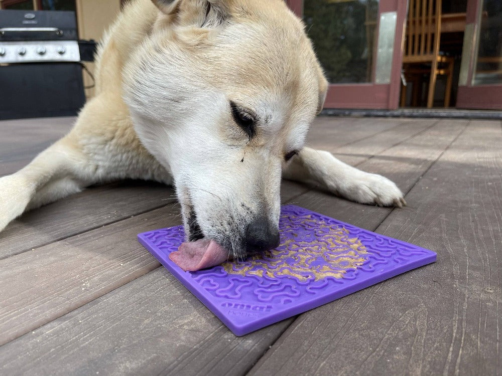 SodaPup Bones eMat Enrichment Lick Mat — for Dogs & Cats