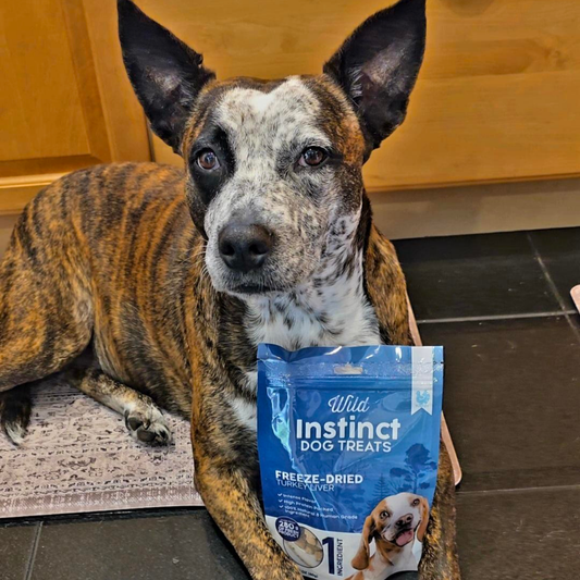Freeze-Dried Turkey Liver Dog Treats: Single-Ingredient, Human-Grade