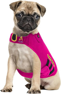 CalmCloak 3-in-1 Dog Anxiety Vest — Music & Aromatherapy (XXS–XXL)