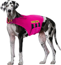 CalmCloak 3-in-1 Dog Anxiety Vest — Music & Aromatherapy (XXS–XXL)