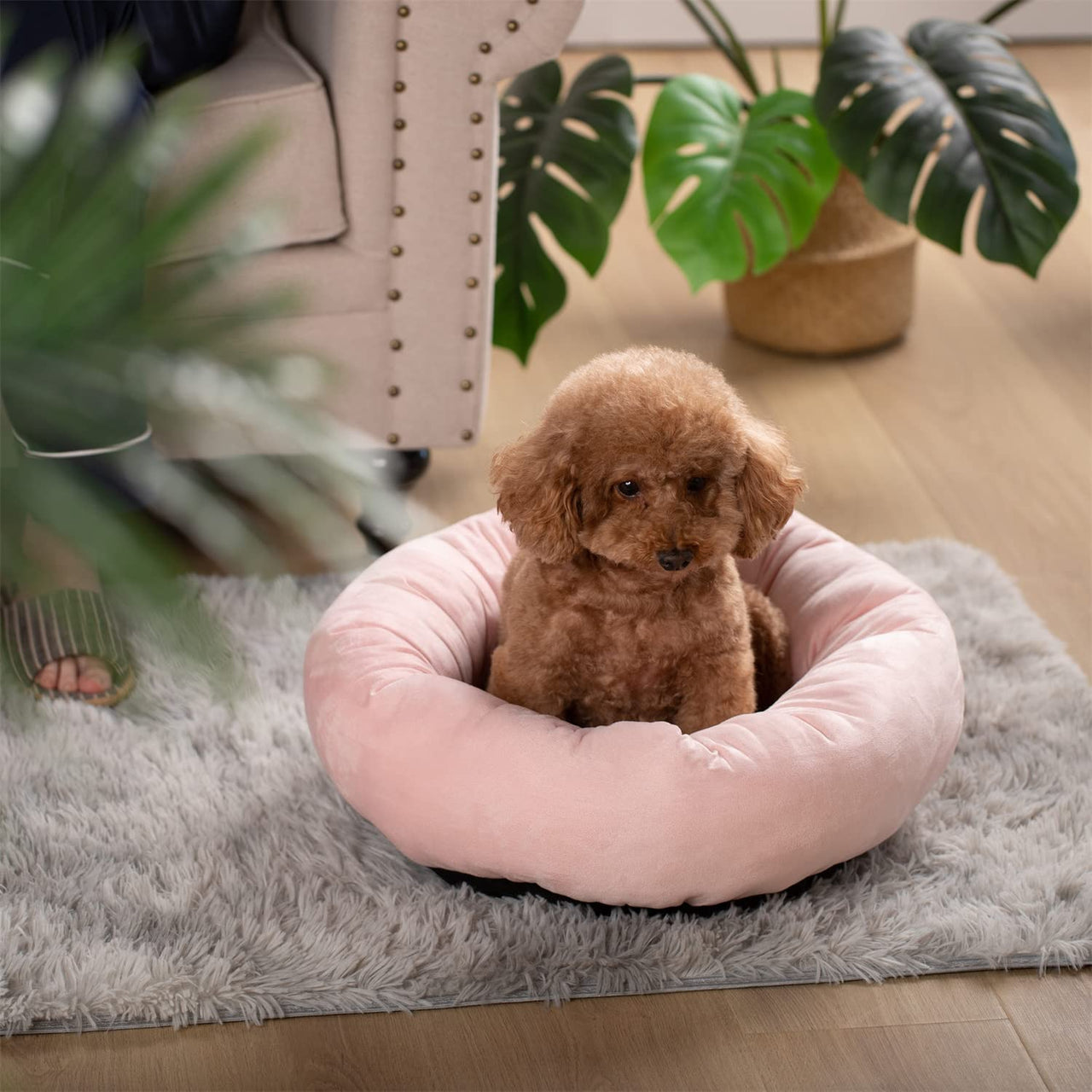 CalmRest Donut Dog Bed by Kasentex