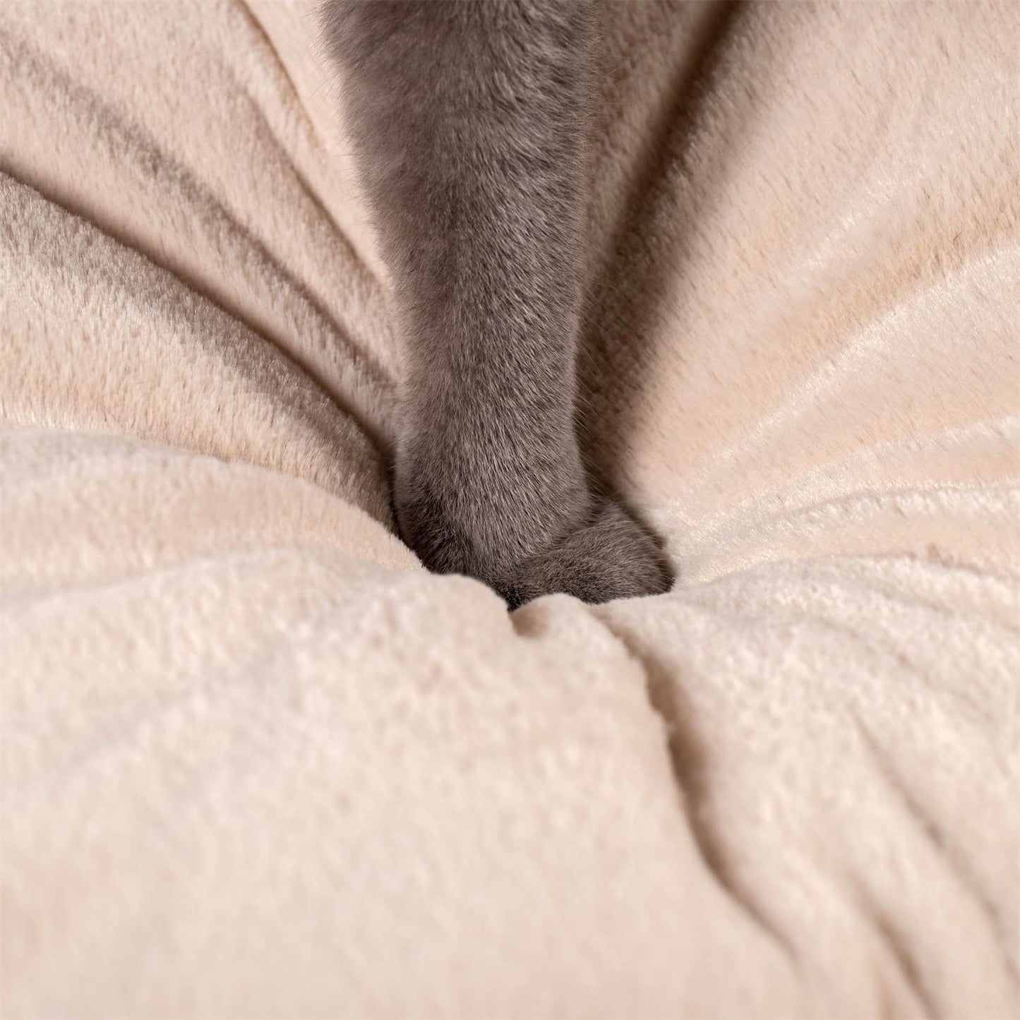 CalmCave Hooded Cat Bed — Cozy Anxiety Den for Cats & Small Dogs
