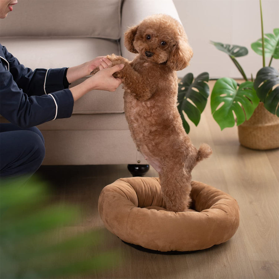CalmRest Donut Dog Bed by Kasentex