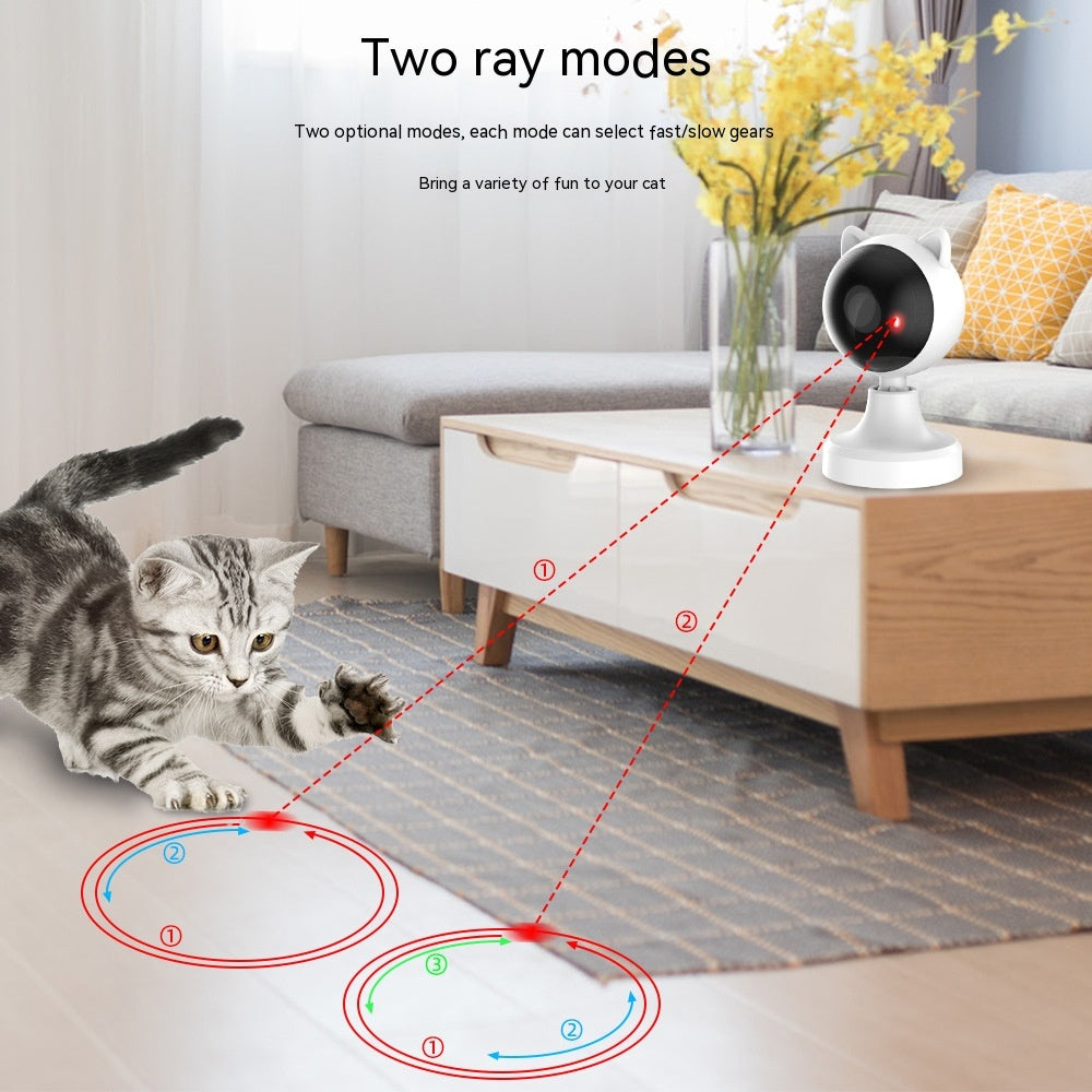Cat chasing the laser dot from the automatic toy