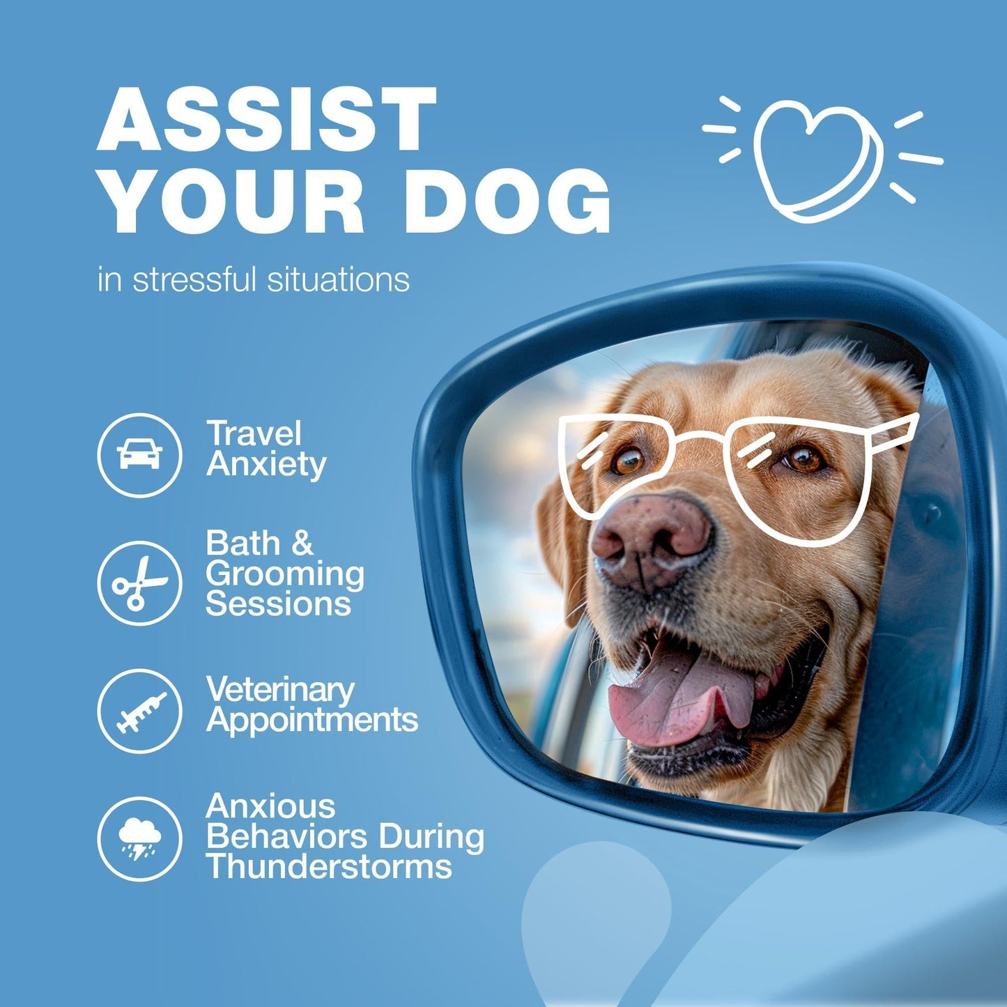 Hemp Calming Chews — L-Theanine, Chamomile & Valerian for Anxious Dogs
