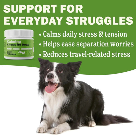 Deley Naturals Calming Chews for Dogs — 60 Soft Chews