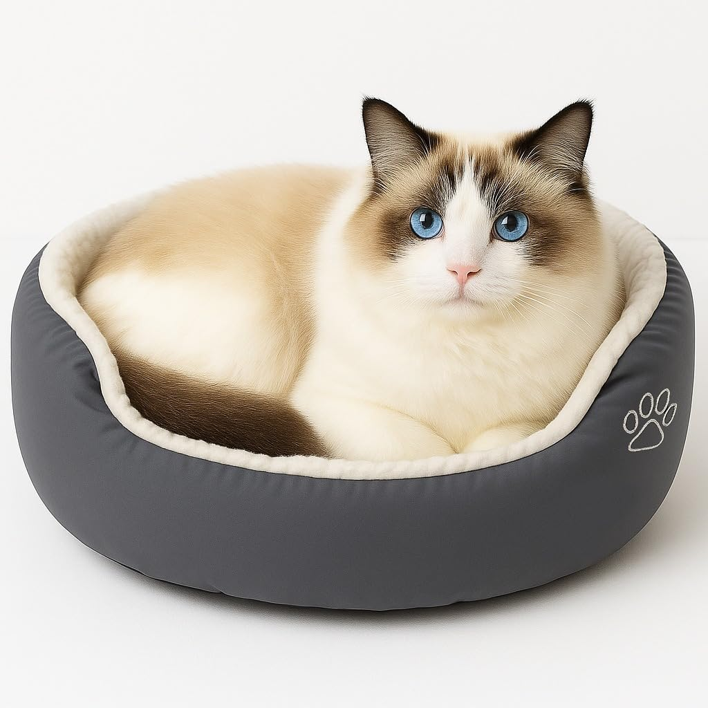 Calming Donut Cat Bed — Plush Anti-Anxiety, Washable