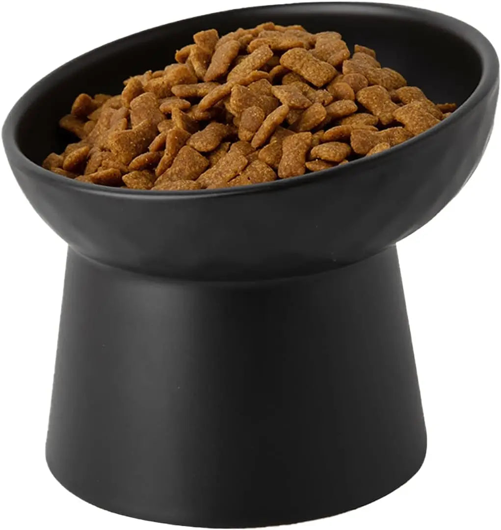 Raised Tilted Ceramic Cat Bowls (Set of 2) — Whisker-Friendly Feeder
