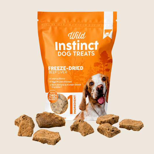 Freeze-Dried Beef Liver Dog Treats: Single-Ingredient, Human-Grade