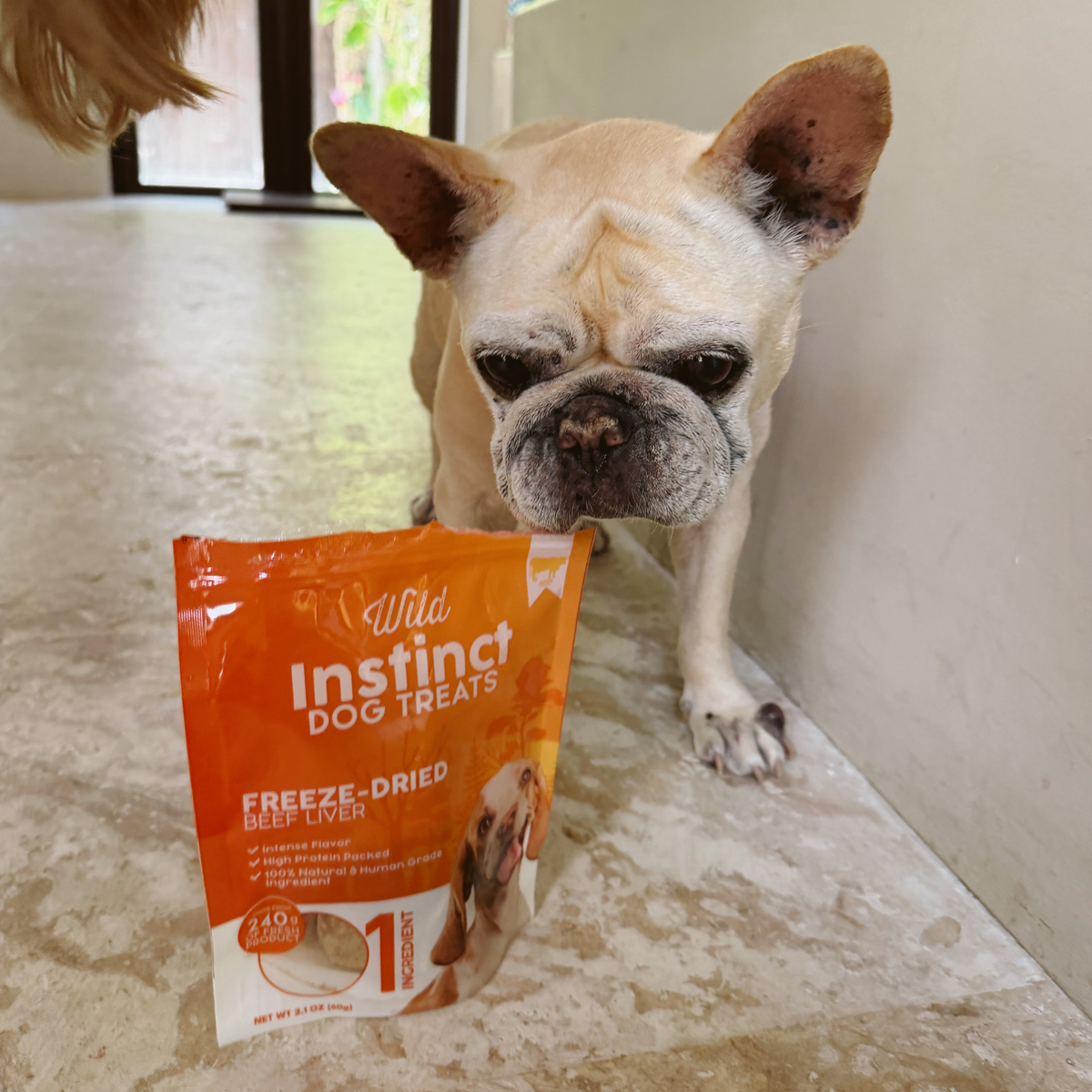 Freeze-Dried Beef Liver Dog Treats: Single-Ingredient, Human-Grade