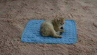 CoolPaws Dog Cooling Mat