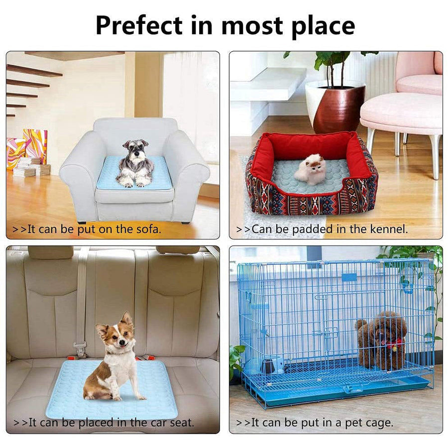 CoolPaws Dog Cooling Mat