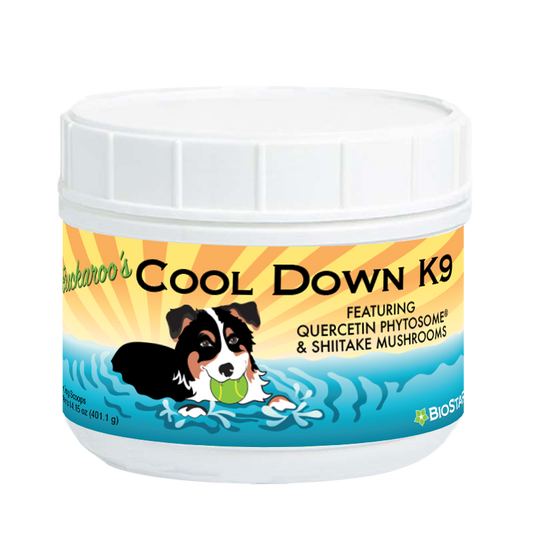 Buckaroo's Cool Down K9