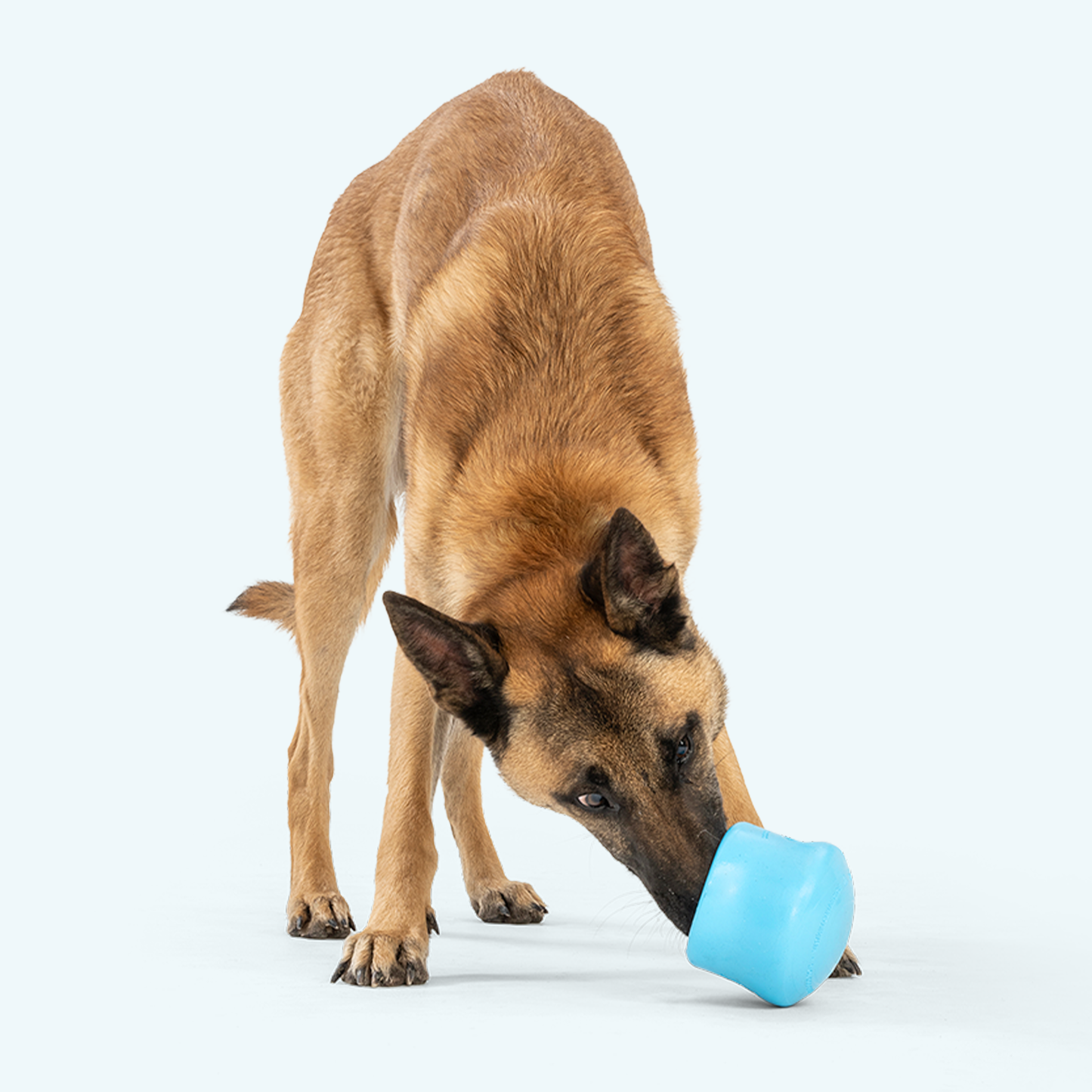 West Paw Toppl Puzzle Feeder — Slow Feeder & Enrichment Treat Toy for Dogs