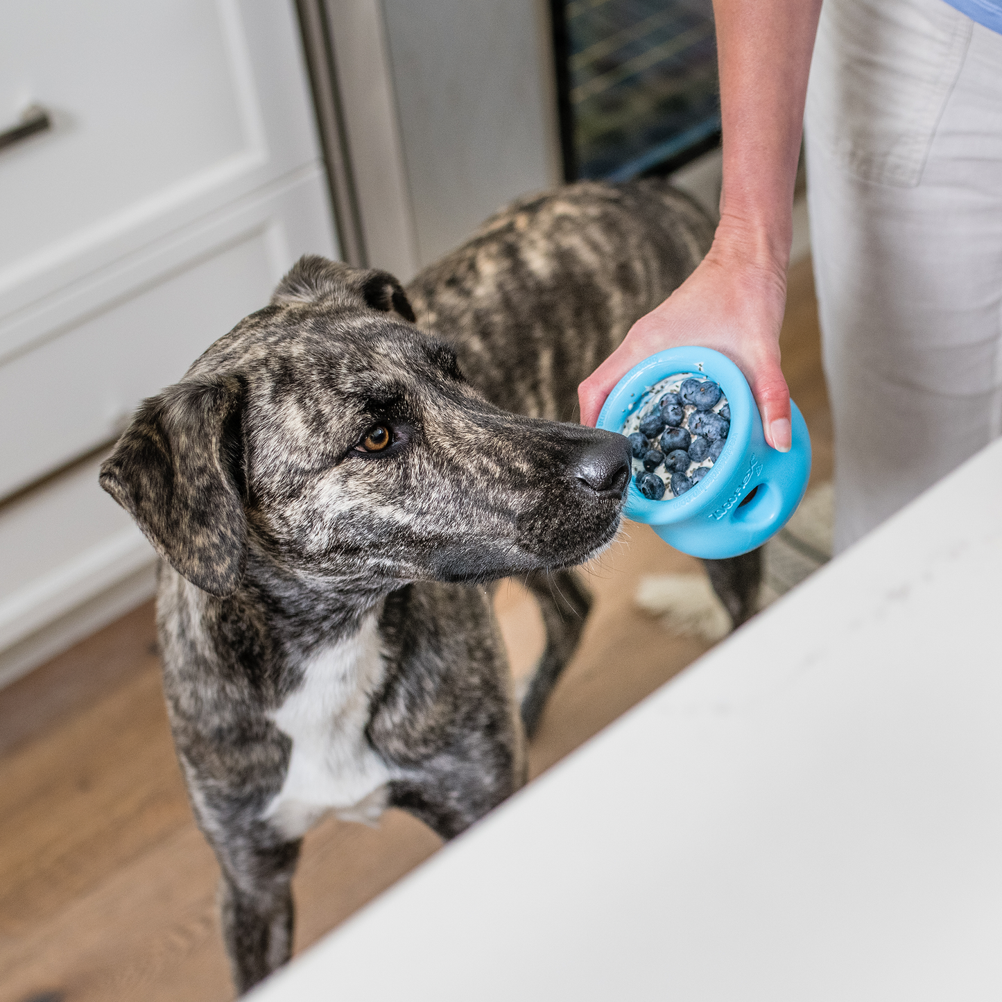 West Paw Toppl Puzzle Feeder — Slow Feeder & Enrichment Treat Toy for Dogs