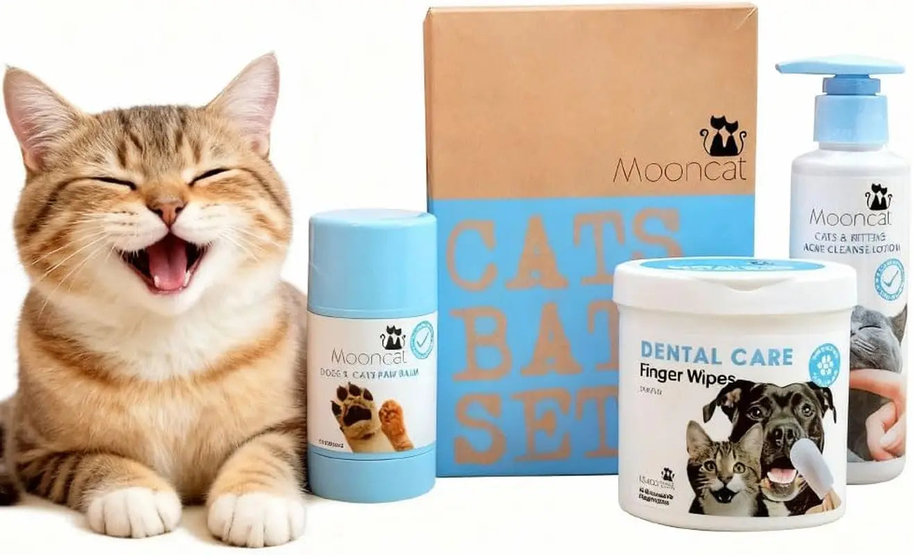 Waterless Cat Shampoo & Brush Kit — No-Rinse Foam for Bath-Free Grooming