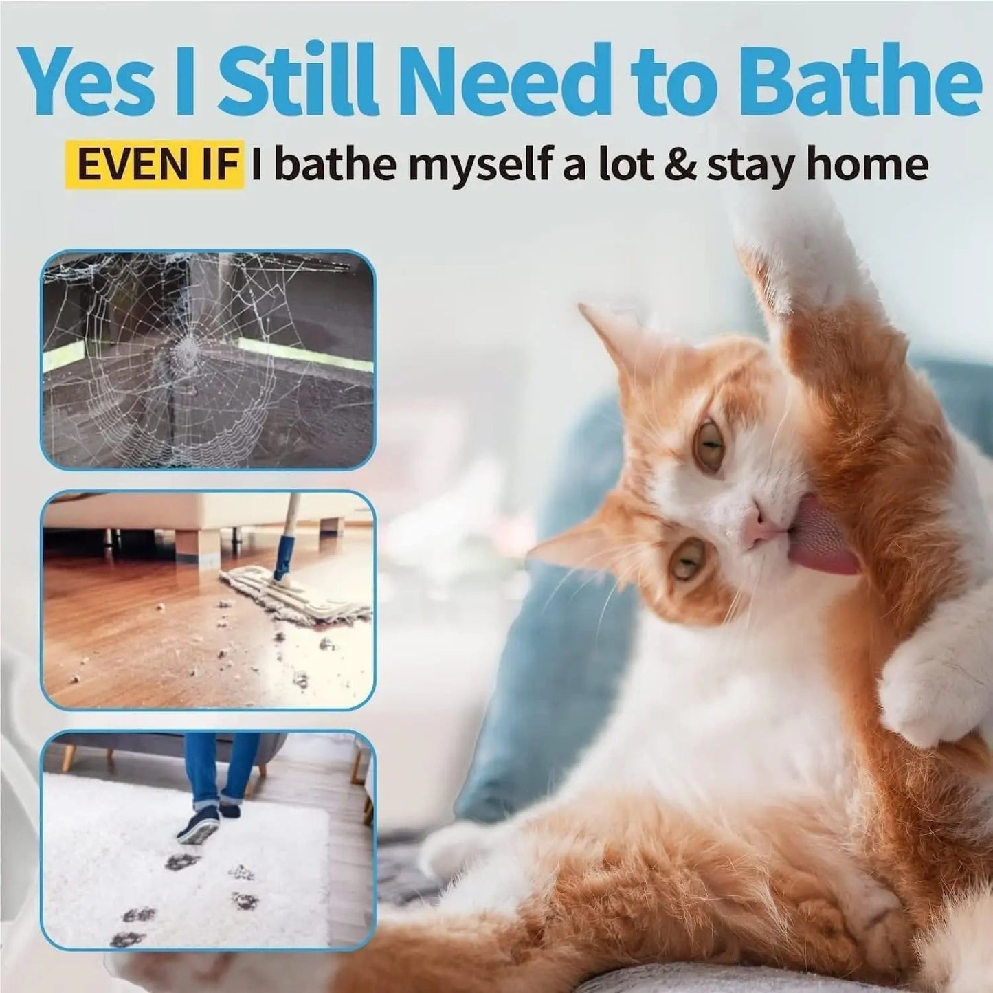 Waterless Cat Shampoo & Brush Kit — No-Rinse Foam for Bath-Free Grooming