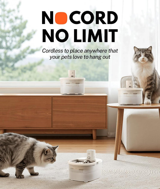Wireless Cat Water Fountain — Stainless Steel, Quiet & Cordless